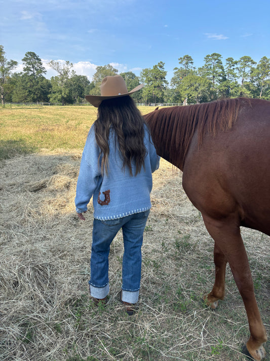Baby Blue Horse Sweater