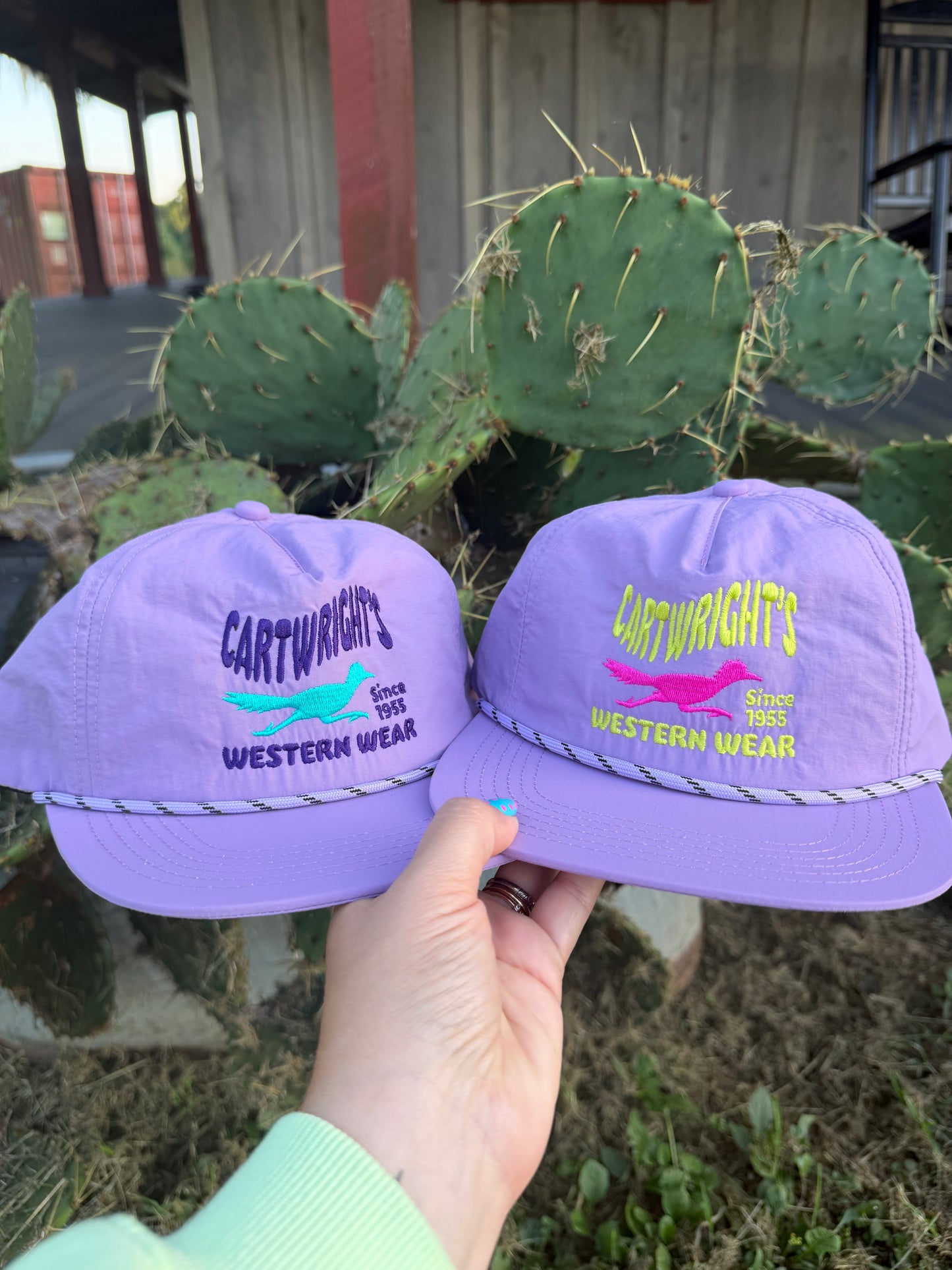 Cartwright’s roadrunner purple + turquoise rope hat