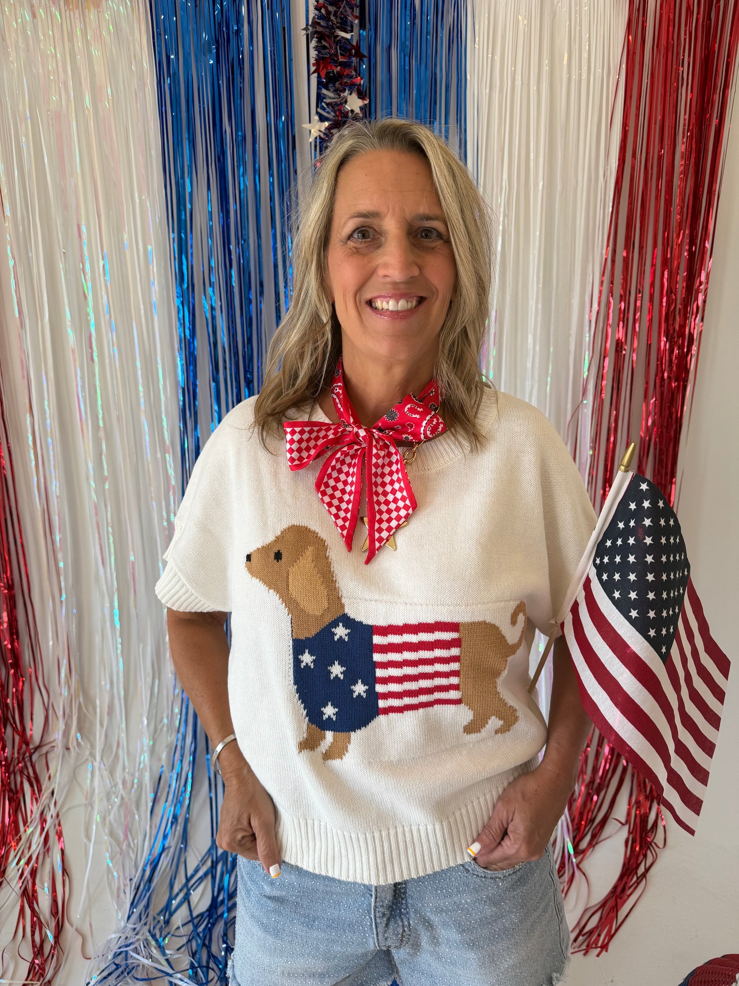 Weenie Dog Flag Sweater