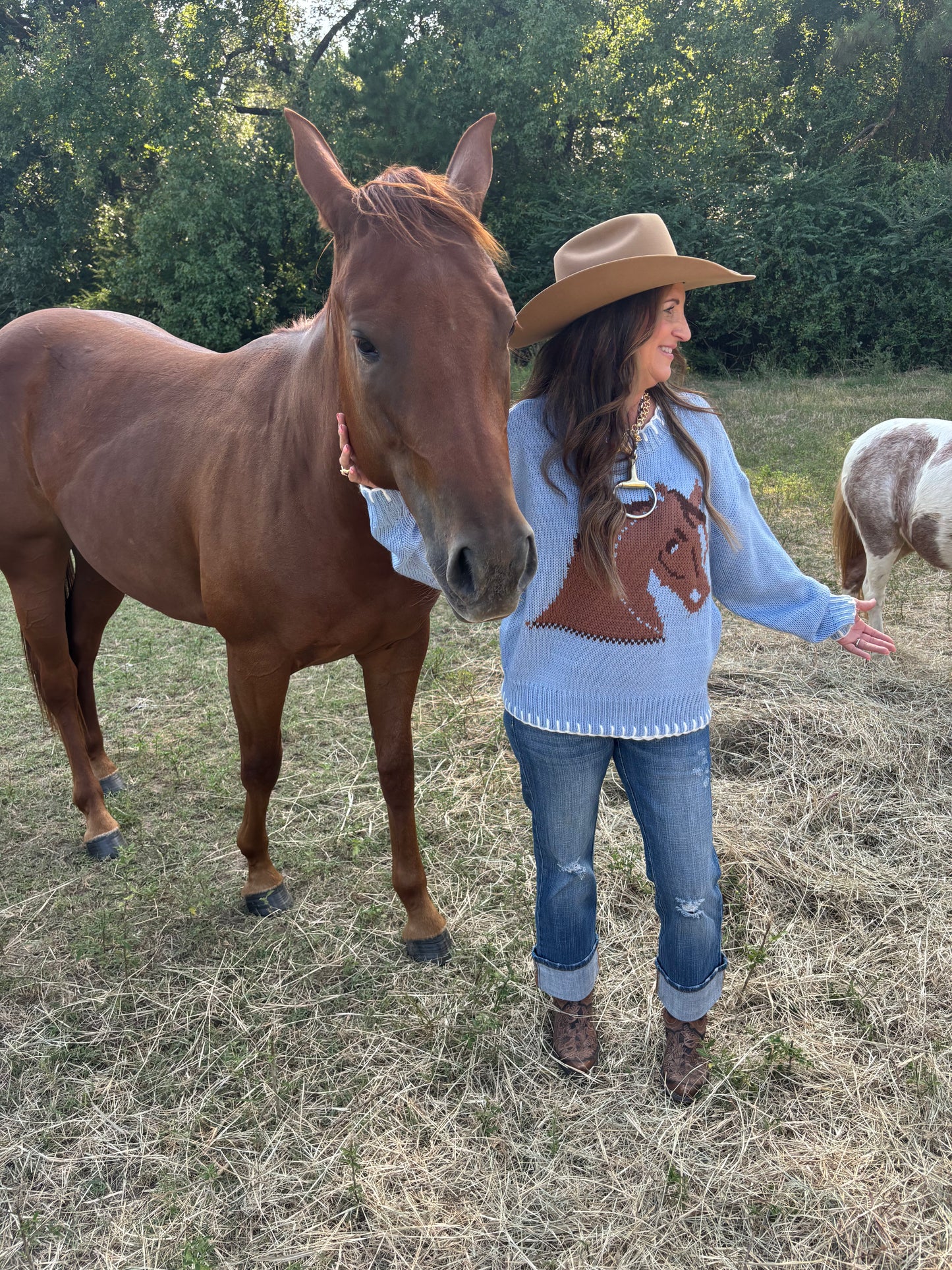 Baby Blue Horse Sweater