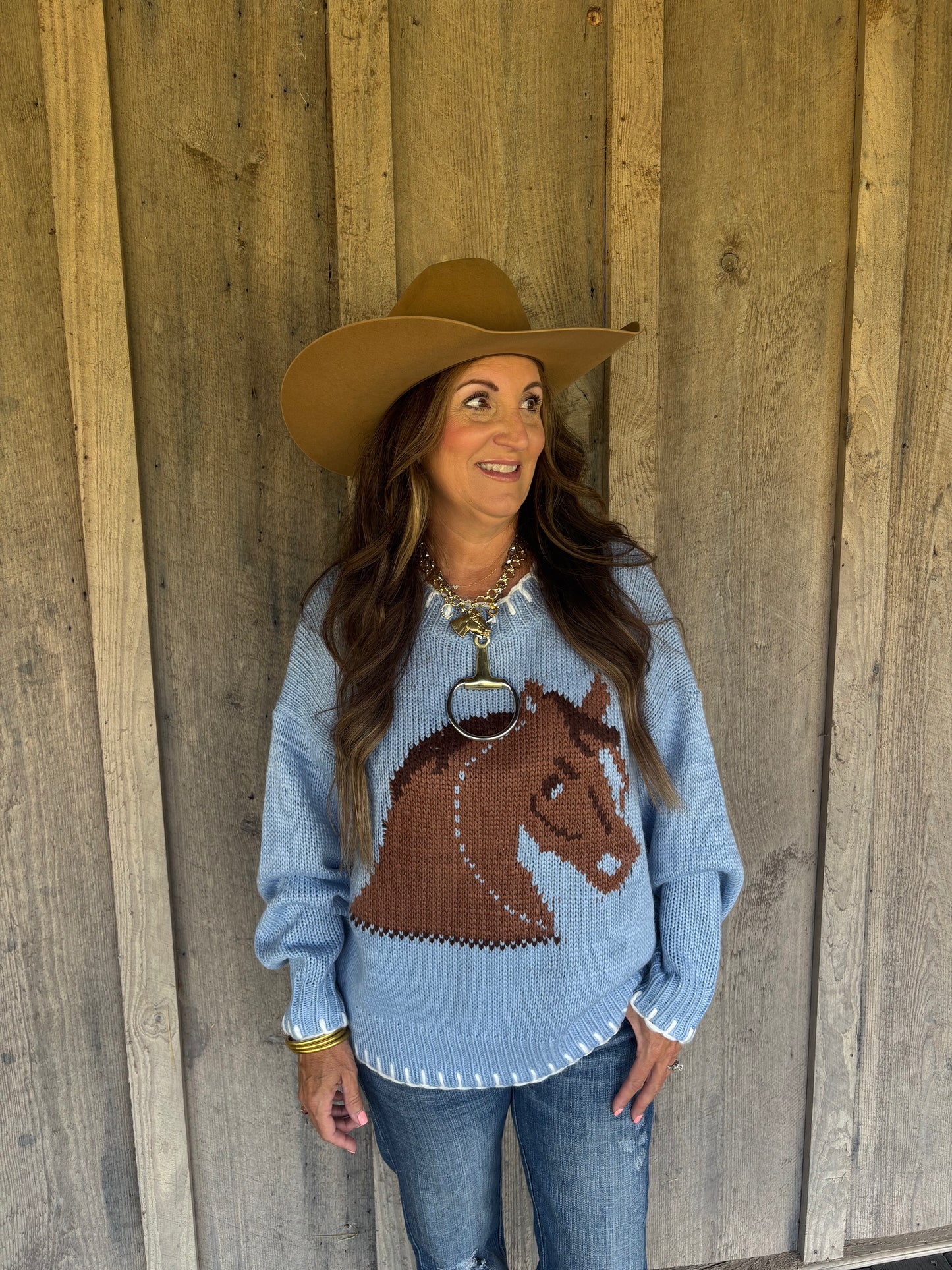 Baby Blue Horse Sweater
