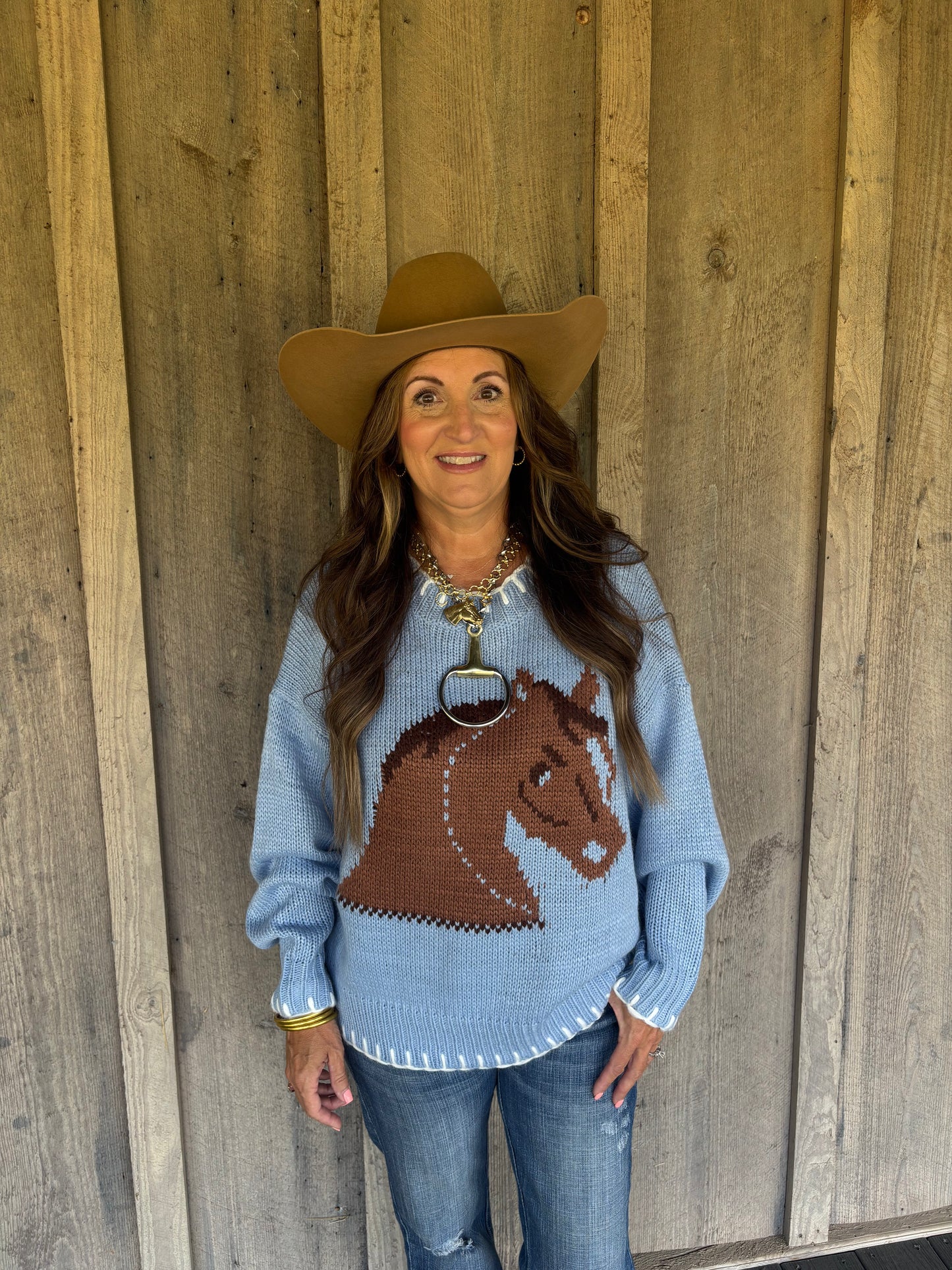 Baby Blue Horse Sweater