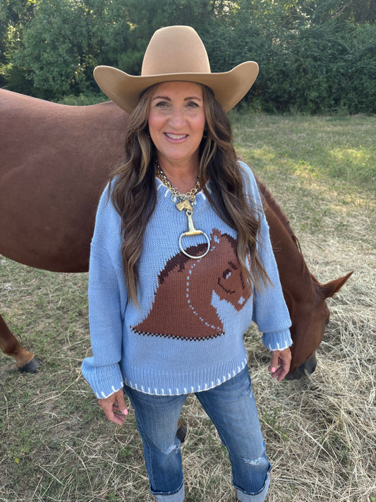 Baby Blue Horse Sweater